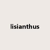 lisianthus是什么意思