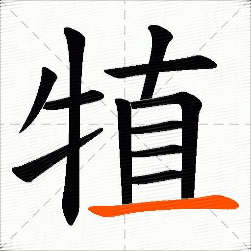 犆