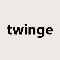 twinge是什么意思