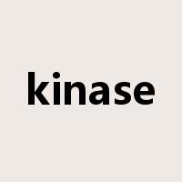 kinase是什么意思