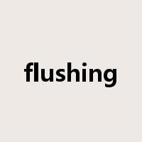 flushing是什么意思