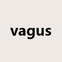 vagus是什么意思