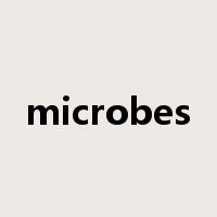 microbes是什么意思