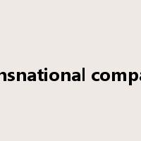 transnational company是什么意思