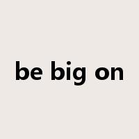 be big on是什么意思