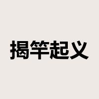 揭竿起义是什么意思