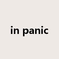 in panic是什么意思