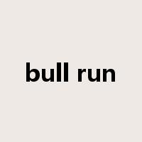 bull run是什么意思