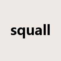 squall是什么意思