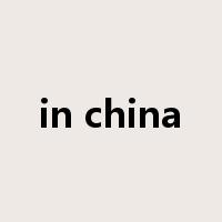 in china是什么意思