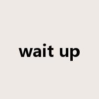 wait up是什么意思