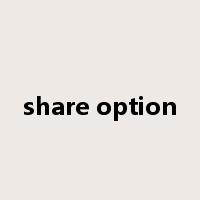 share option是什么意思