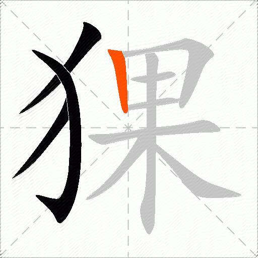 猓