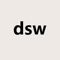 dsw是什么意思