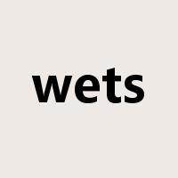 wets是什么意思