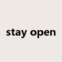 stay open是什么意思