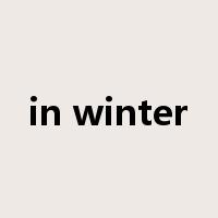 in winter是什么意思