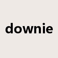 downie是什么意思