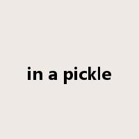 in a pickle是什么意思