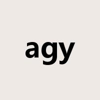 agy是什么意思