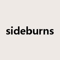 sideburns是什么意思