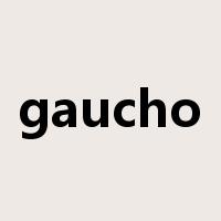 gaucho是什么意思