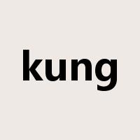 kung是什么意思