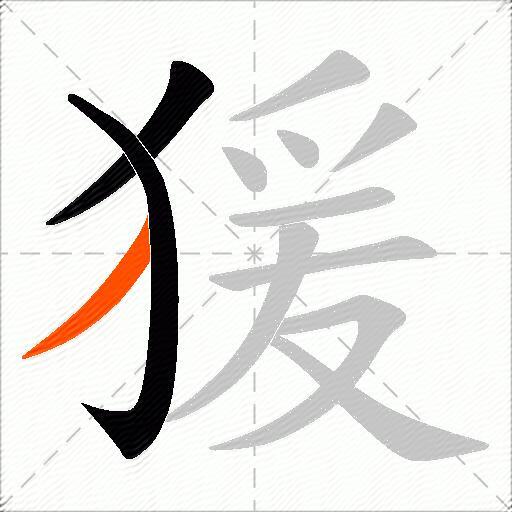 猨