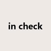 in check是什么意思