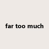far too much是什么意思