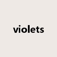 violets是什么意思