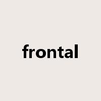 frontal是什么意思