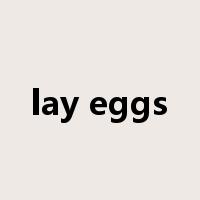lay eggs是什么意思