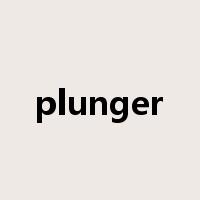 plunger是什么意思