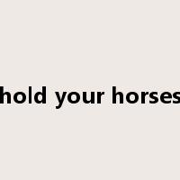 hold your horses是什么意思