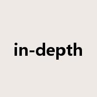 in-depth是什么意思