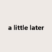 a little later是什么意思