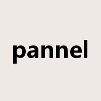 pannel是什么意思