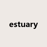 estuary是什么意思