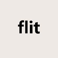 flit是什么意思