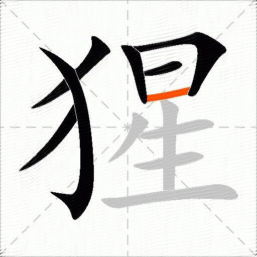 猩