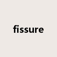 fissure是什么意思