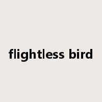 flightless bird是什么意思