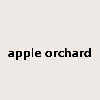 apple orchard是什么意思