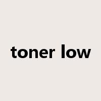 toner low是什么意思