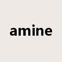 amine是什么意思