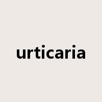 urticaria是什么意思