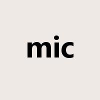 mic是什么意思