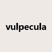 vulpecula是什么意思