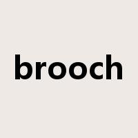 brooch是什么意思